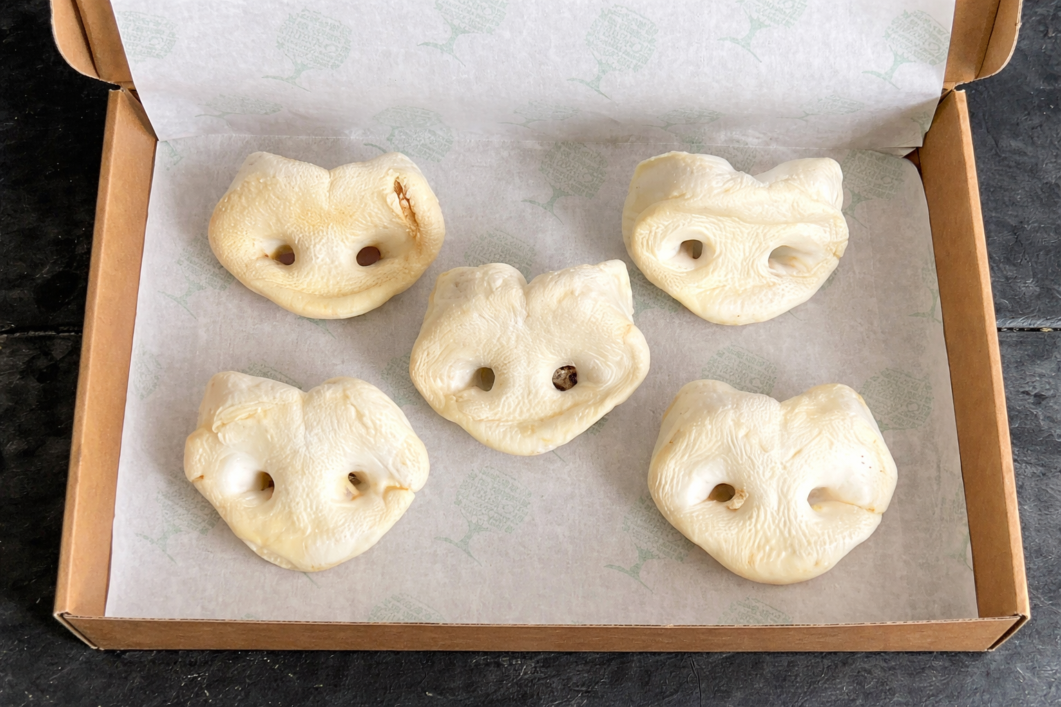 Natural Puffed Pig Snouts Dog Treats – Air-Puffed Pork Chews for Dogs (Grain-Free, High Protein, Dental Support)